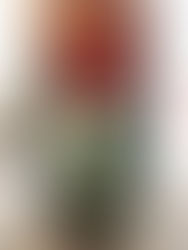 HOD's flagship: Kurtz's Insane IPA