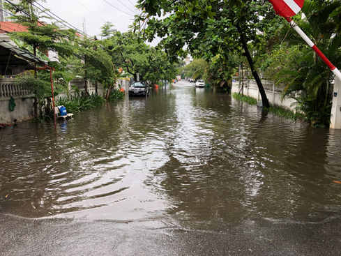 Yep, it rained. Glad that's not our street.