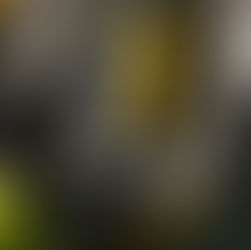 What a load of Bobbins