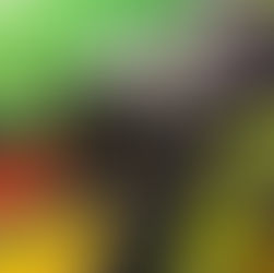 New radiator is coming