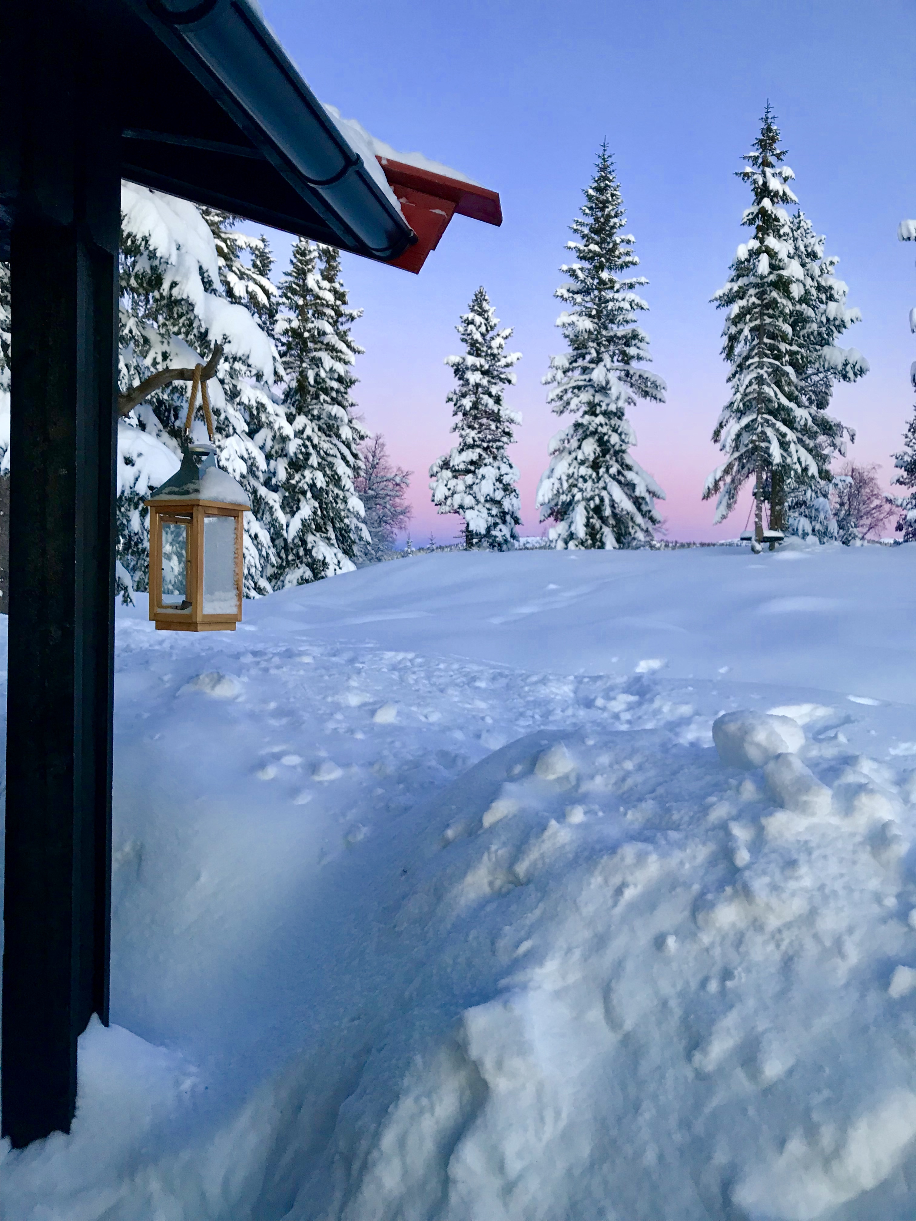 Hyttevinter