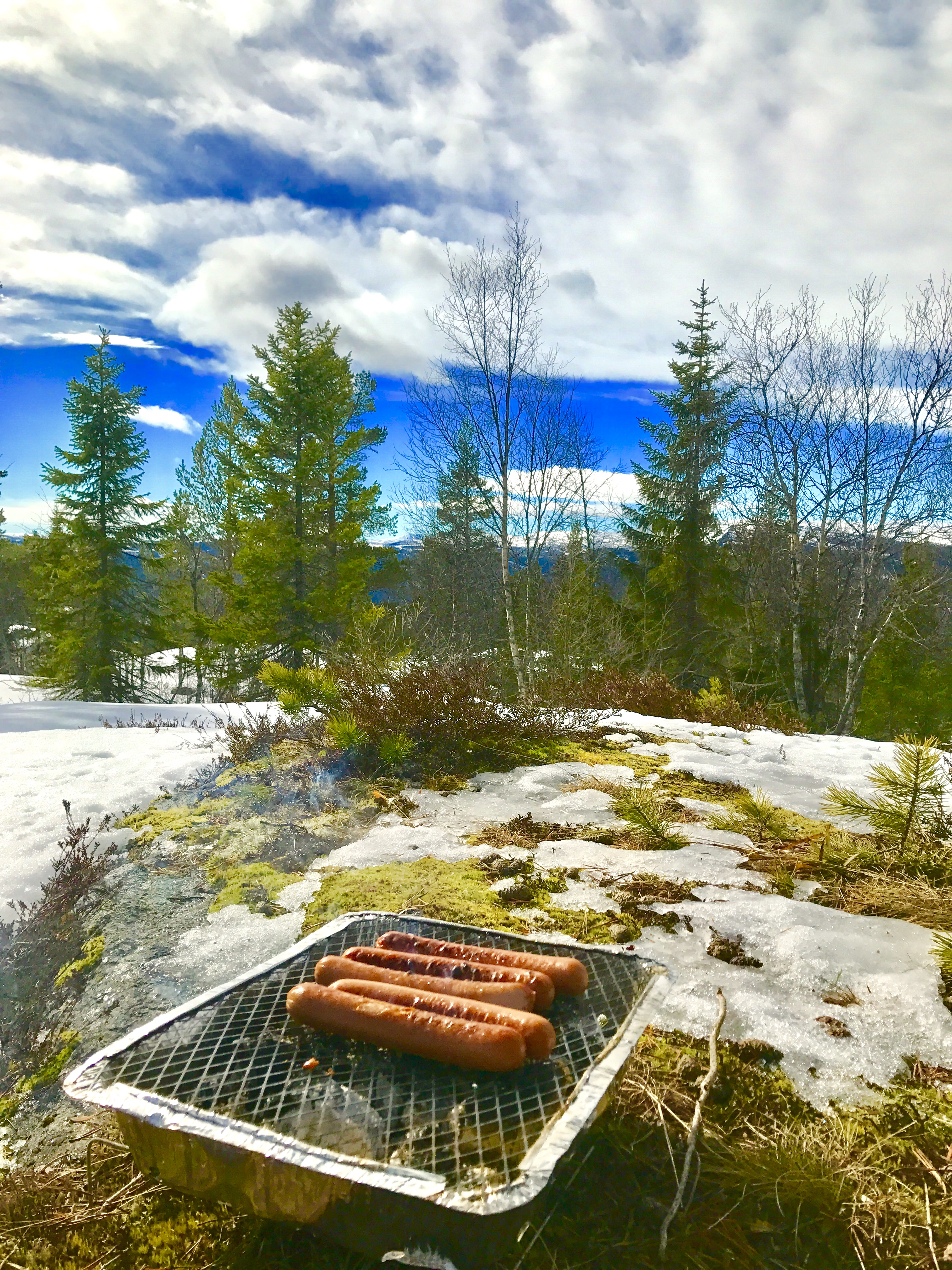 Pølsefest