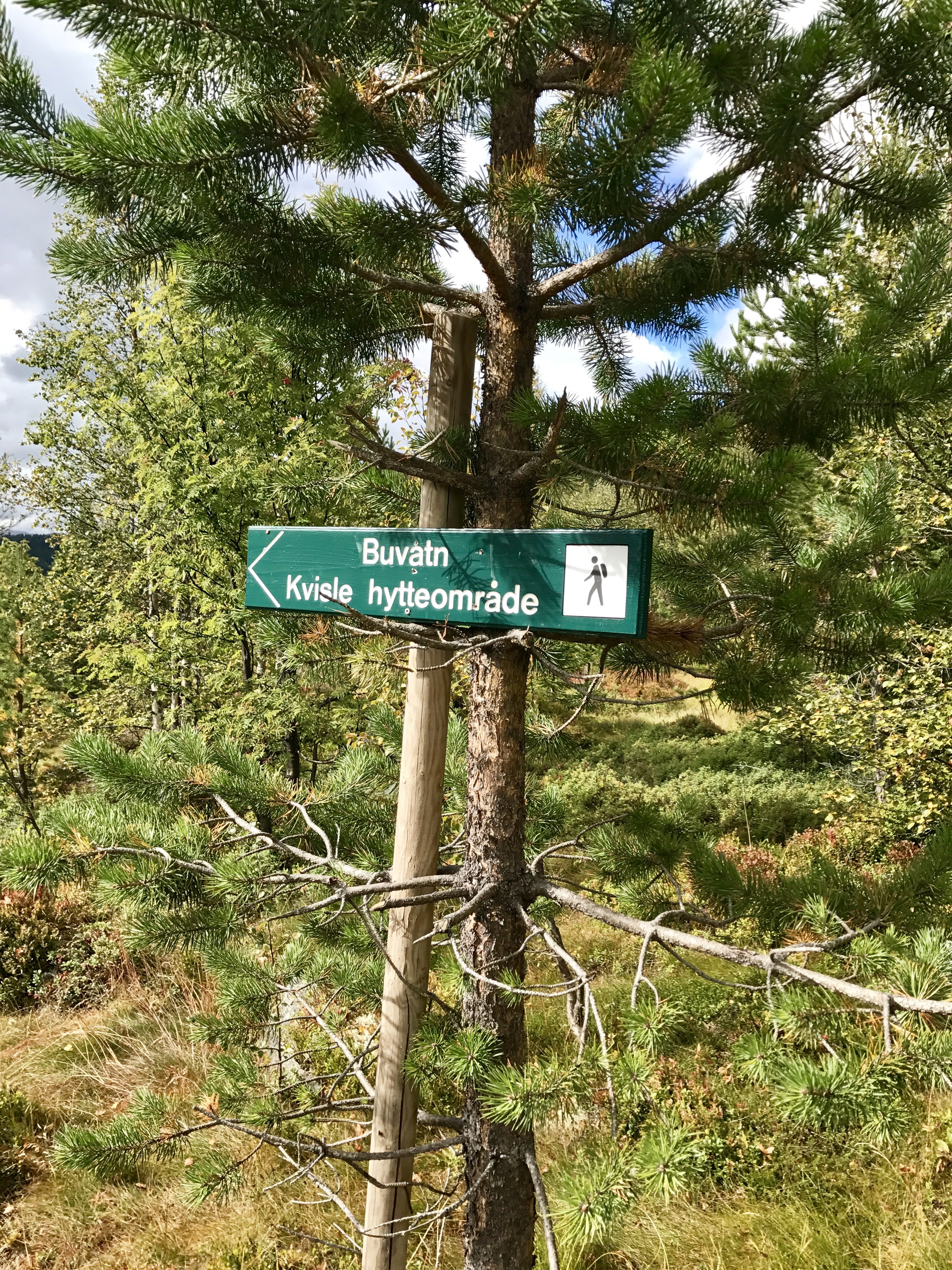 Hit skal vi