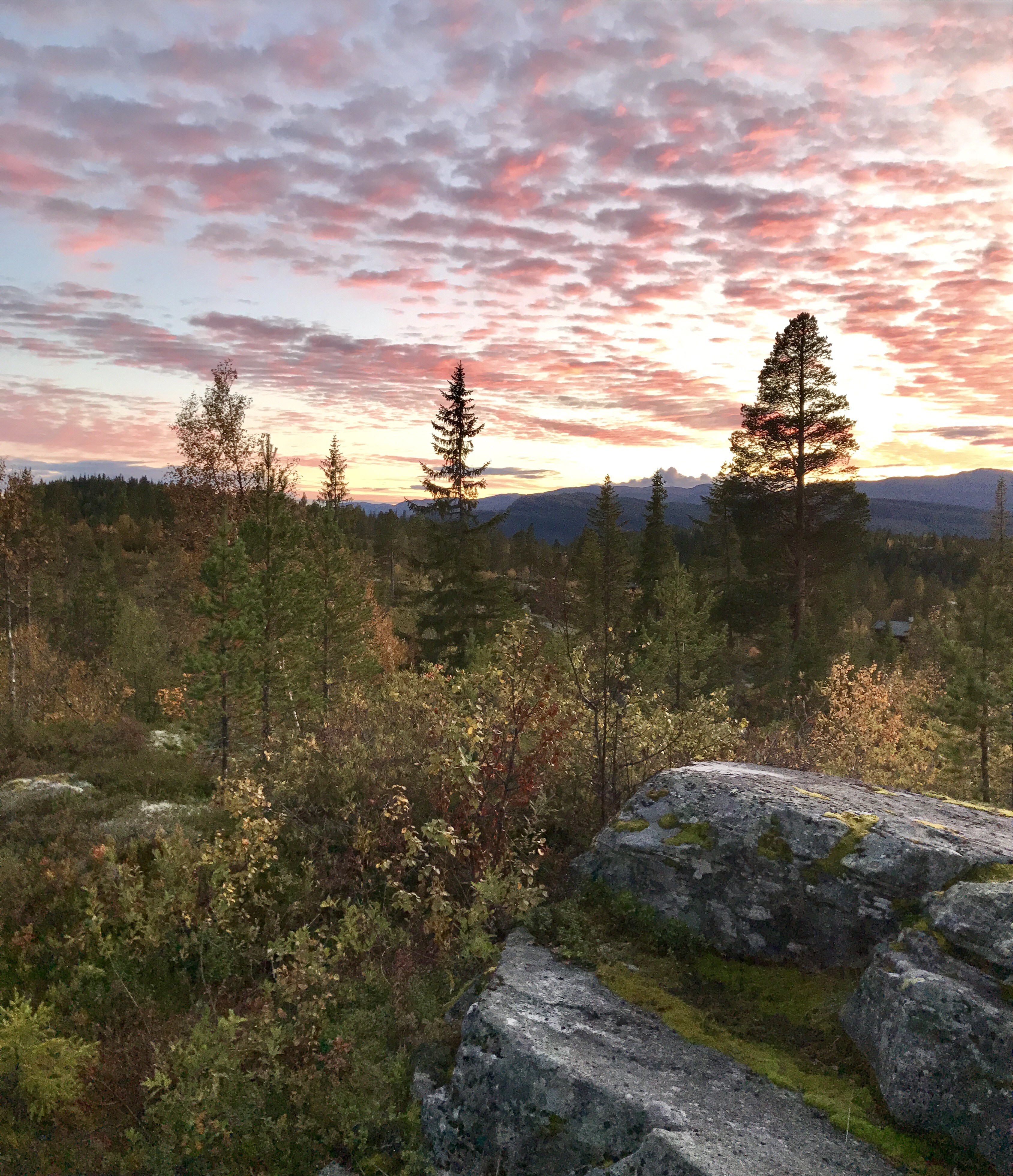 Hytteutsikt