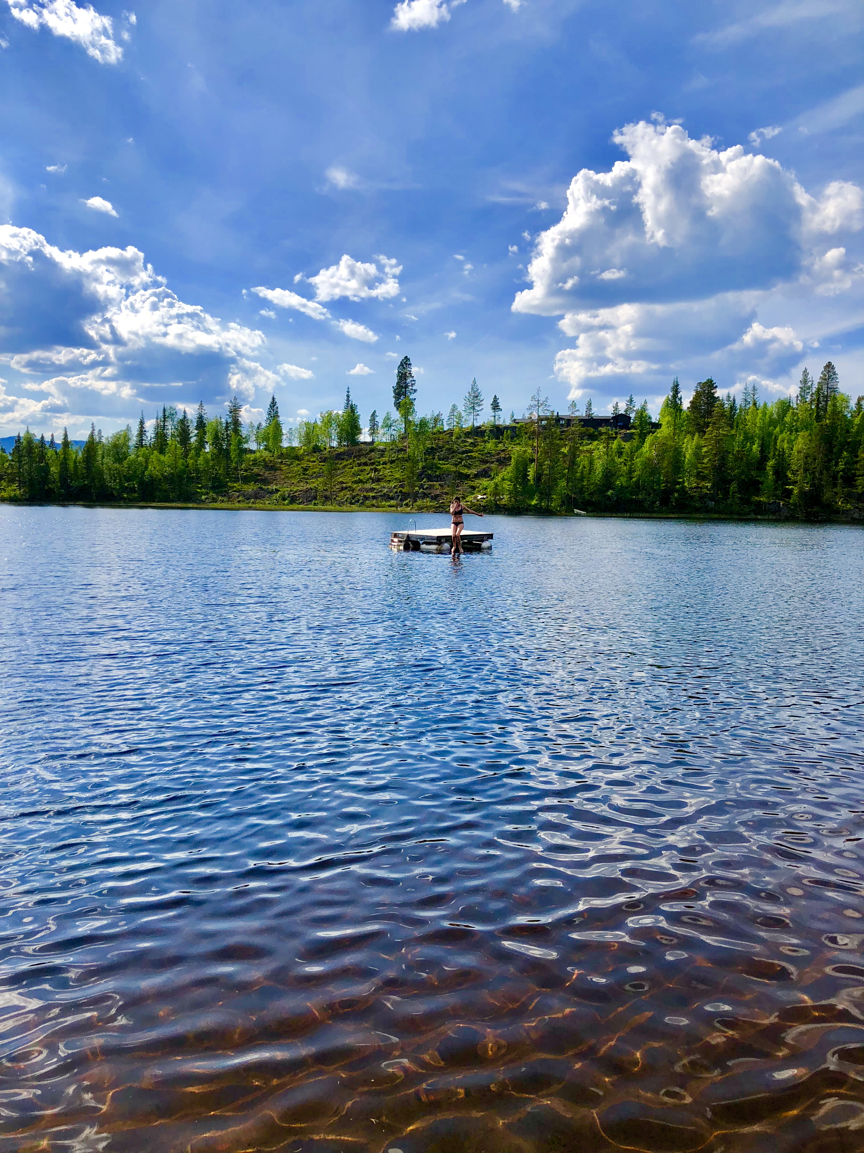 Metjønn
