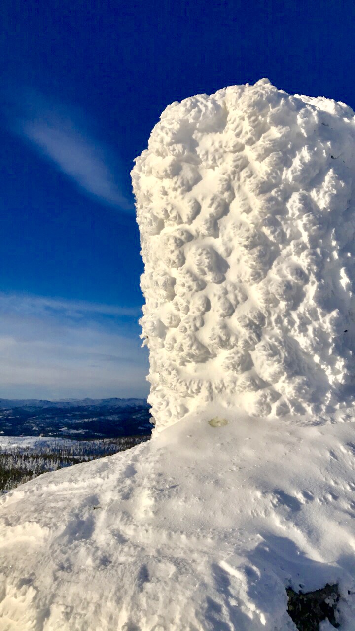 Vardefjell