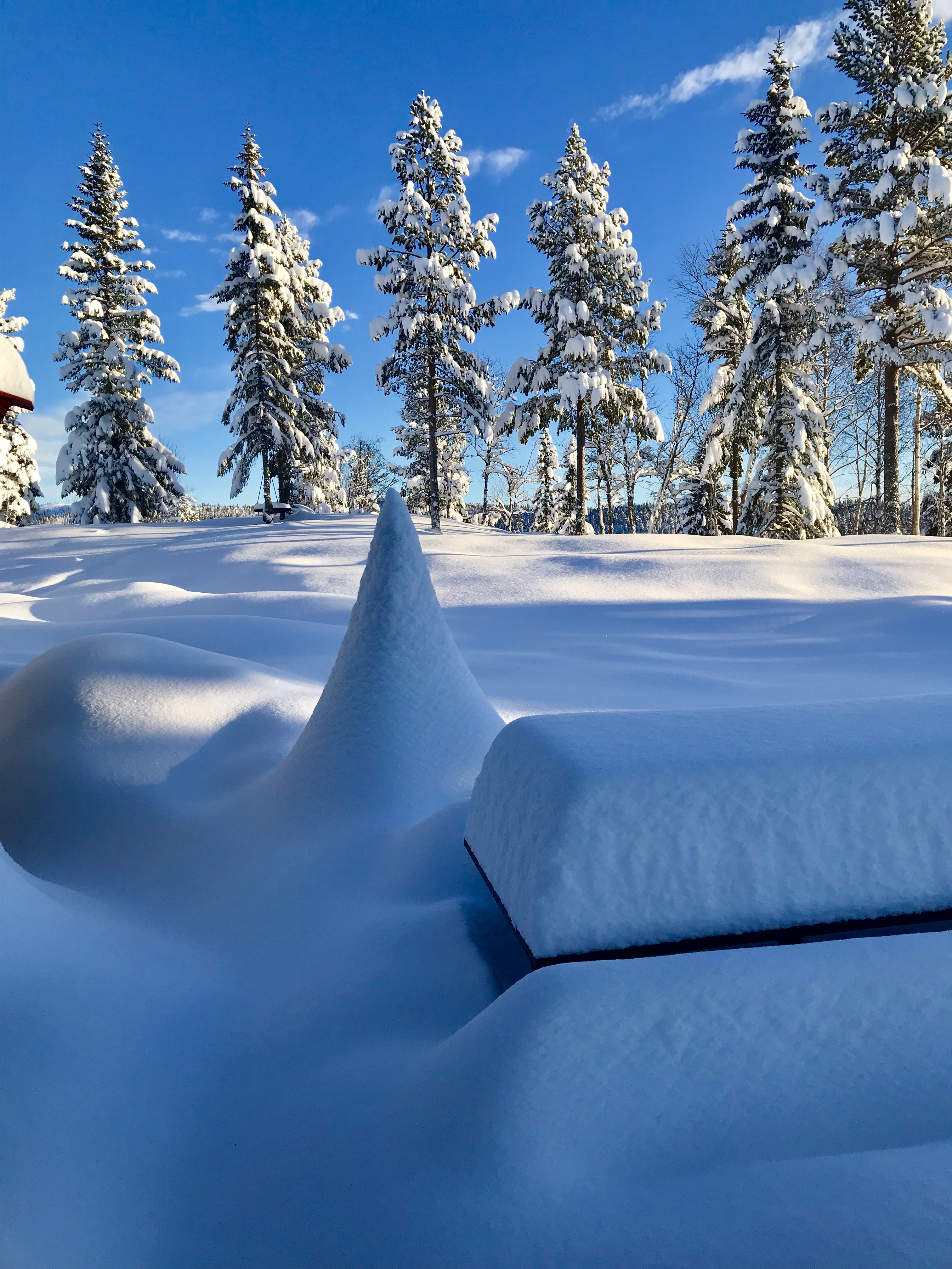 Snørik vinter