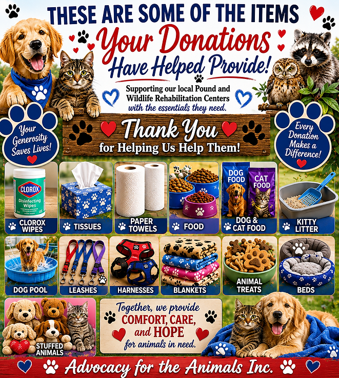 These are some of the items your donations have helped provide