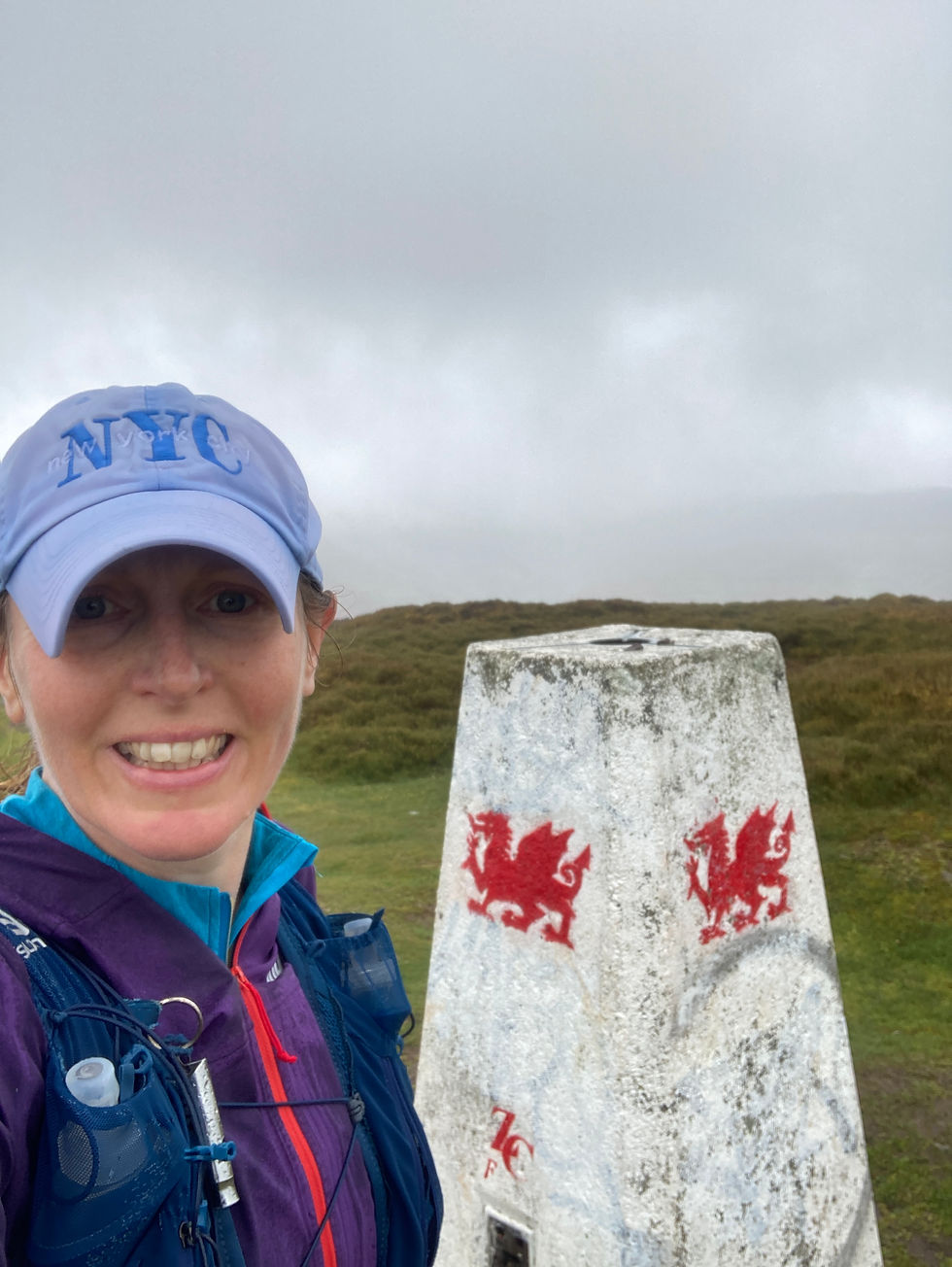 Mynydd Troed