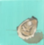 "A Pearl of Great Price"