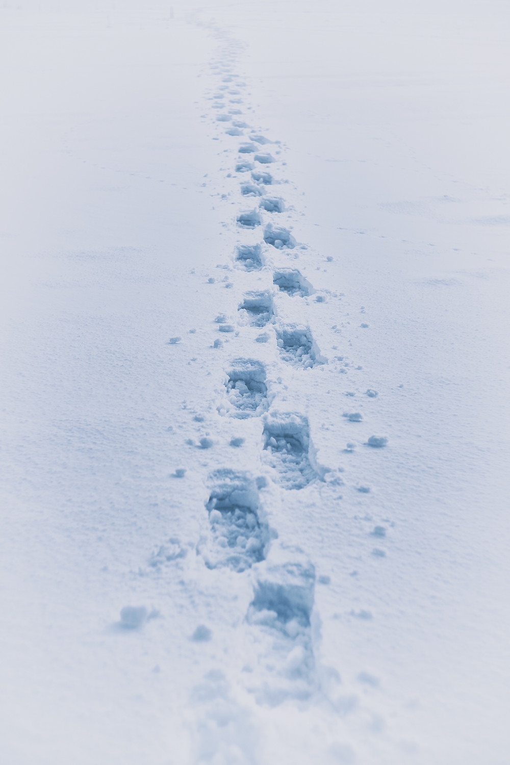 Footprints in the snow.