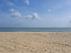 Not Starting From Scratch