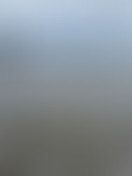 Should’ve, Would’ve, Could’ve… Didn’t