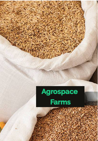 Faro 44 Rice Paddy | DIGITIZED AGROSPACE(AGRITECH FINTECH)