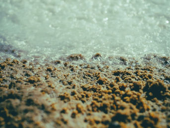 ASTUTAS, salinas de la Bahía de Cádiz del sXXI