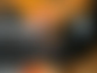 Algo bueno puede salir de Carolina