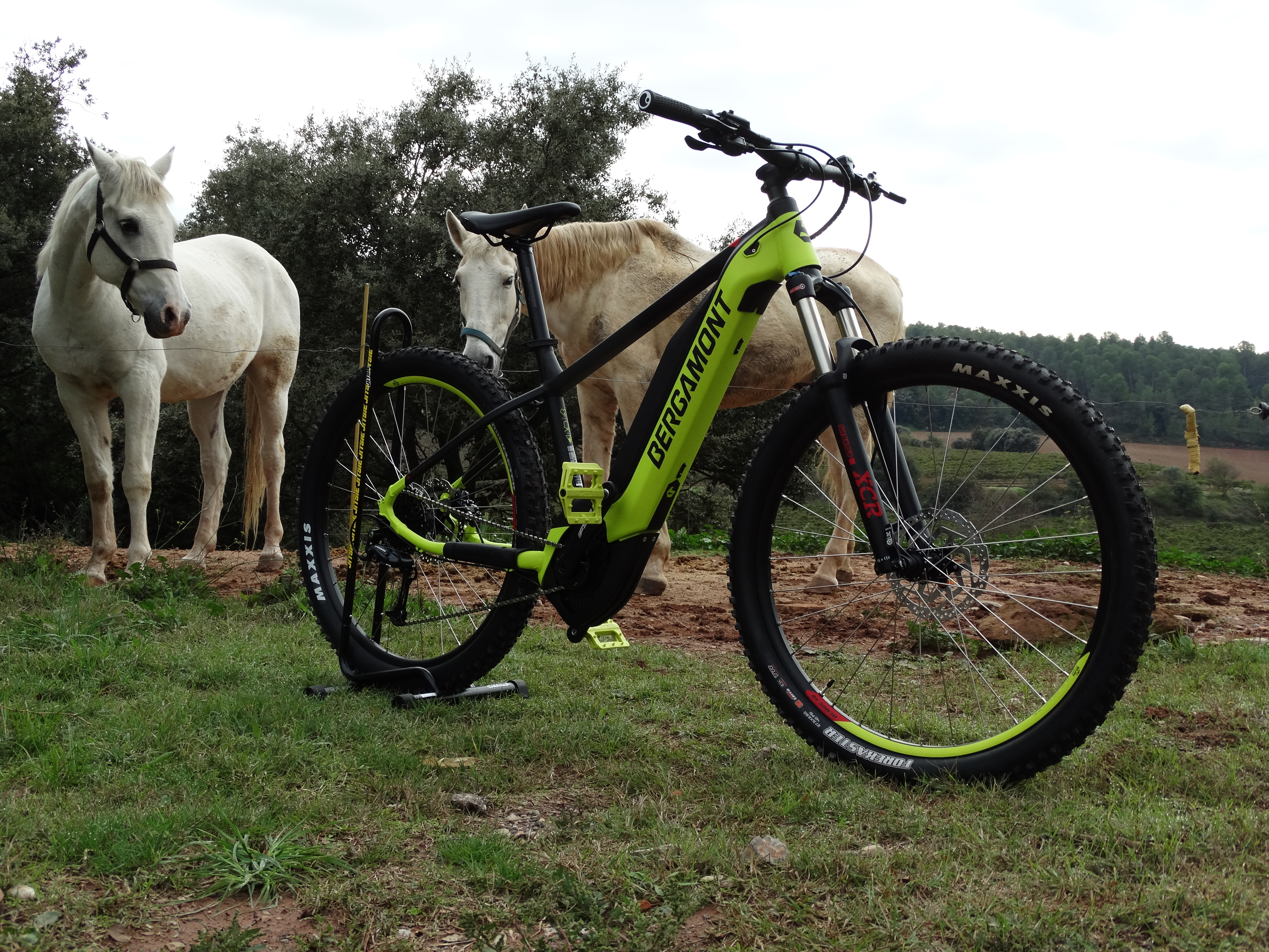 BERGAMONT E-REVOX CAN VILA