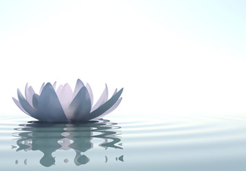 Peace Through Massage gift card