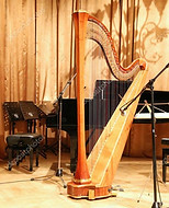 MusicadhoC Sagl & Don Payett Sagl