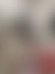 Port Royal - Beaufort Update September 2024