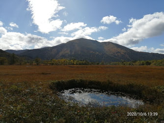 673  　尾瀬ヶ原①　絶景！、草紅葉と至仏山（しぶつざん）。（今回は、”三条の滝”が目的。）