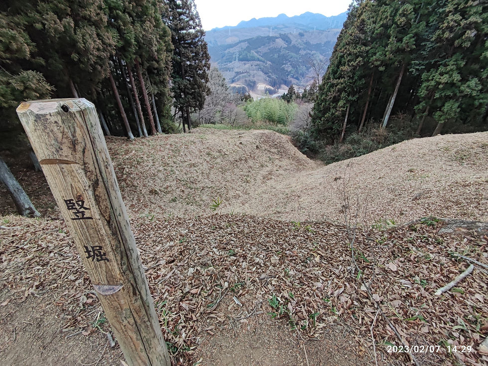 982  　岩櫃城③　正面からの竪堀と景色。