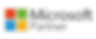 microsoft-partner.png