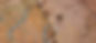 maps.jpg