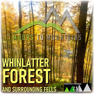 Whinlatter.jpg