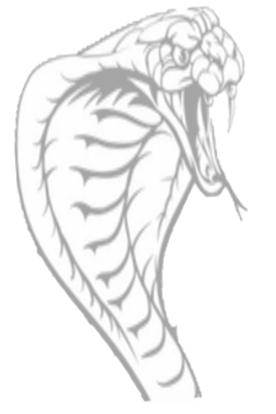 Fishslayer Tackle COBRA Spoon, Snake Logo, front view