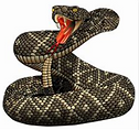 Fishslayer Tackle Diamondback Snake front view