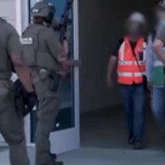 미국 공장 한국인 300명 구금&추방 = 괌/LA 산후조리원 체류? (feat. 안전한 미국원정출산을 위해선)