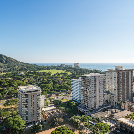 미국출산 왜 하와이인가?  사례로 알아본 지역과 안전의 연관성