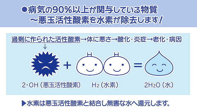 すいそくんからの説明 悪玉活性酸素と水素が結合 水に還元する ヒドロキシラジカルを消去 原子記号H2
