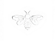 Photoroom-20260416_165627771.png (1).png