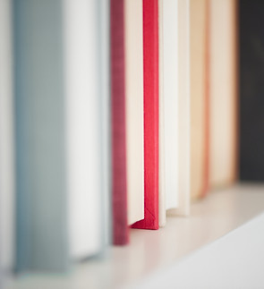 Libros En Estante