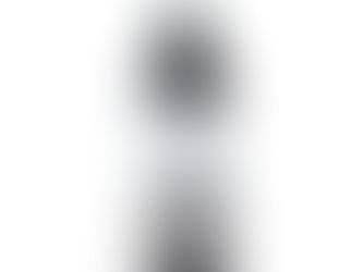 Image of the Povero Dolcetto 2024