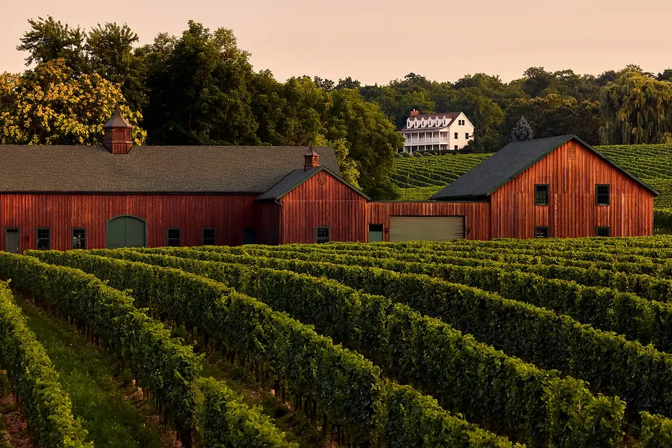 Hidden Bench Winery Niagara