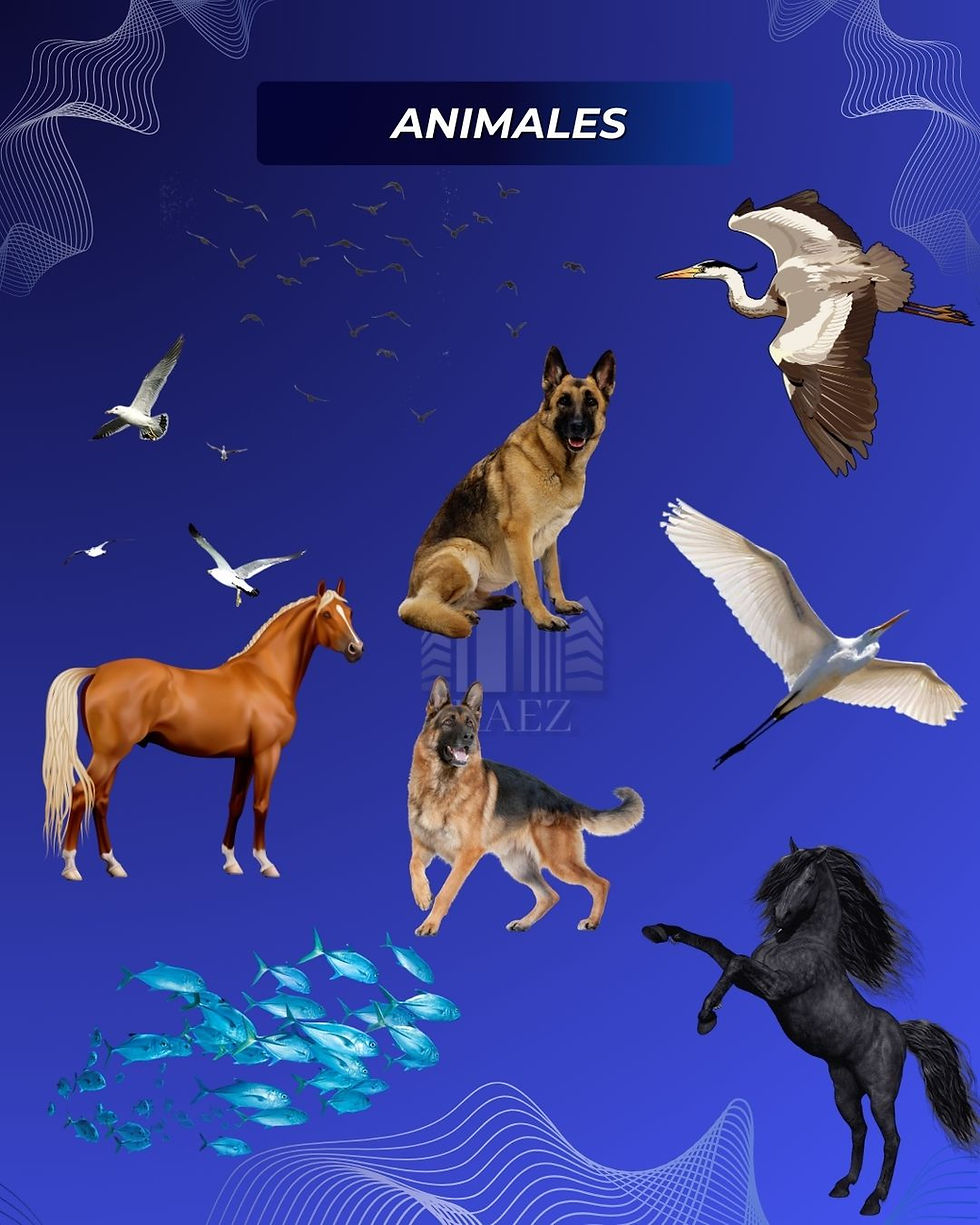 Miniatura: Mega Pack Photoshop