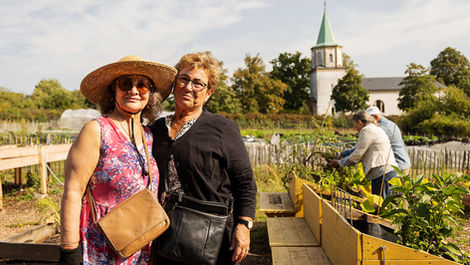 Ett år med Odla tillsammans