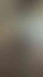 Glass partitions