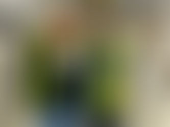 Women in Construction Week: Building Strategic Partnerships That Move Projects Forward