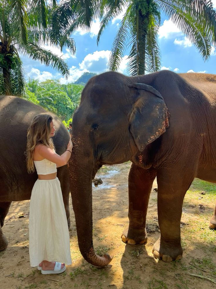 Tailandia Especial. Todo Incluido