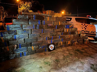 Polícia de SP apreende mais de 600 kg de drogas por dia em SP e prejuízo ao crime chega a R$ 3 bilhões