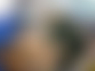 Guarda Ambiental de Itaquá resgata 49 aves durante a Operação Pássaro Livre