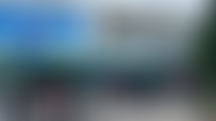 Poá realiza castrações gratuitas de cães e gatos por meio do programa Castra+ São Paulo