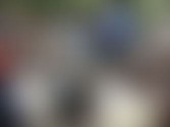 Mais de 100 crianças atípicas participam de piquenique inclusivo no Zoológico de Guarulhos