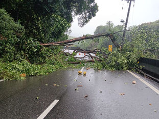 Serra Mogi-Bertioga (SP-098) é liberada; Anchieta tem pista livre após queda de árvore