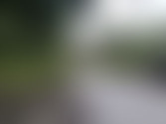 Serra Mogi-Bertioga (SP-098) é liberada; Anchieta tem pista livre após queda de árvore