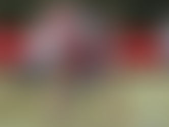 São Paulo se reapresenta no SuperCT e inicia preparação para enfrentar o Bahia